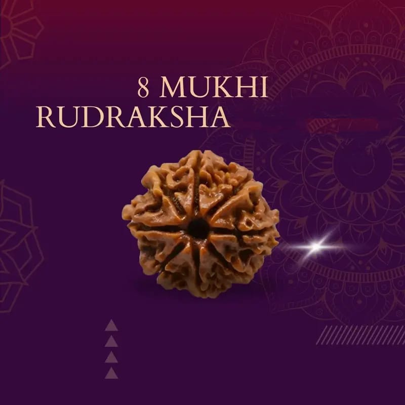 Rudraksha