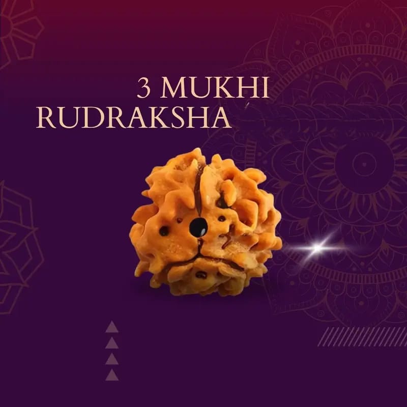 Rudraksha