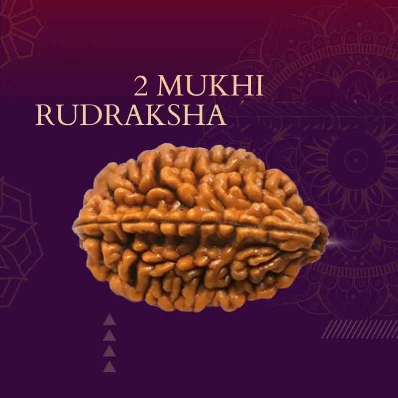 Rudraksha